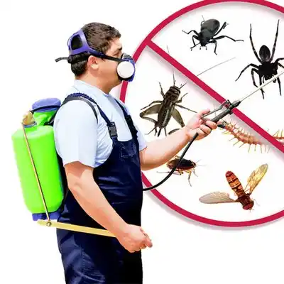 pest control New Lothrop